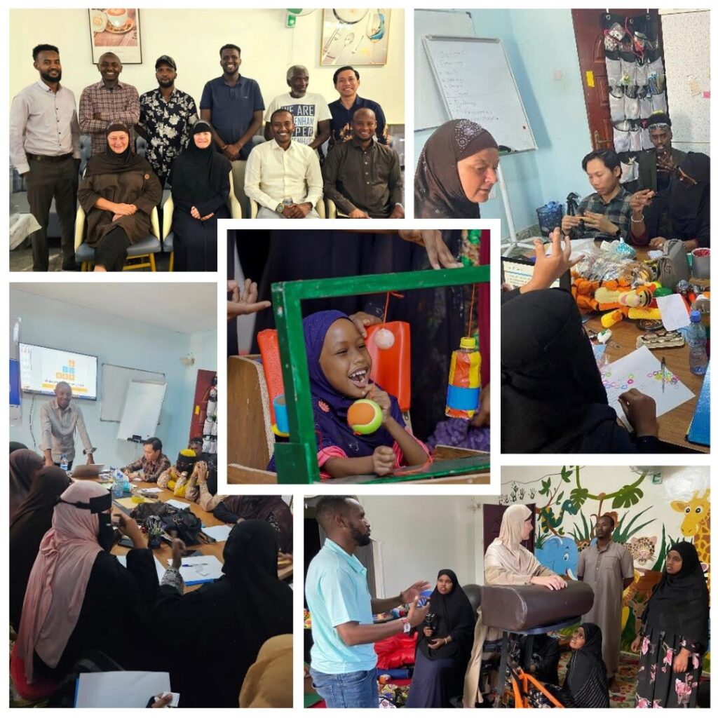 Somaliland Collage